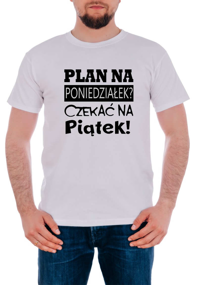 plan na poniedziałek